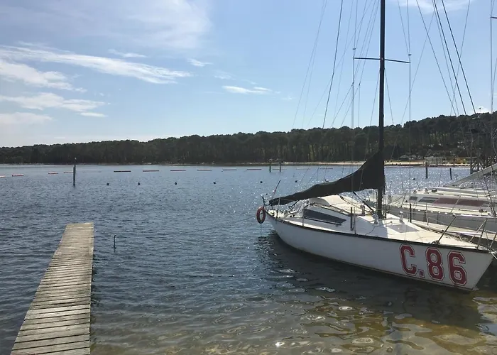 Dans De ביסקארוס