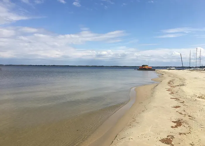 Dans De ביסקארוס